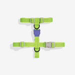 NOX Lumen | H Harness